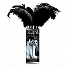 ����� FF LIMITED EDITION LOVE PLUMES 12 �� 441023PD