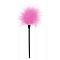 Кисточка для игр с розовыми перышками SEXY FEATHER TICKLER