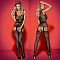 Полупрозрачный кэтсьюит с ажурным узором Bodystocking F217