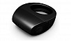 Черное мужское кольцо TOR Black (LELO)
