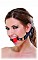 Кляп FF TWO TONE GAG 213600PD