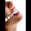 ����� ���� Gag Ball � �����