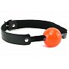       Solid Ball Gag