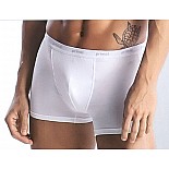 ������� ����������� ����� Primal 
������� �����.