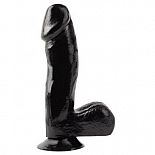 ������ ������������� c �������� Basix - 17,5 ��. 
������������� ������� ����� � �������� �� ��������.