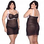 ������-��� ����������� 
����������� ������ �� ����������� ��������� � �������.