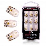         Camomile Fantasy 
     Erotic Fantasy     .