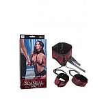 ������� � ��������� Scandal Posture Collar with Cuffs 
������� � ��������� Scandal Posture Collar with Cuffs �� ����������� ������� ��������� ����������� ����������� Scandal.