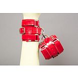 ����������� �� ������� ������������ ���� 
���������-����������� ������ ������ �����  ������ ��� - ��� ��� �������� � ���������� ����� ������������ ����-��������.