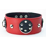 <strong>Ошейник красный-черный с шипами 55016ars</strong> <br />
Красно-черный кожаный ошейник с короткими шипами. <div class="charTableblock"><div><span>Материал</span>: кожа</div><div><span>Цвет</span>: красный, розовый</div></div> Ошейник красный-черный с шипами 55016ars
Красно-черный кожаный ошейник с короткими шипами.