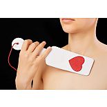 �������� �����  3131-3 
������ � ���� ������� �������� � ������ ��������.