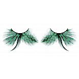  -   
                 .