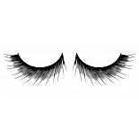  ,     Deluxe 
            ,   .