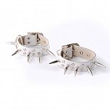 ������� ����� ��������� � ������ � ���������� 
����������� �� ����������� ����.