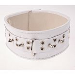 <strong>Белый кожаный ошейник с шипами и кольцами</strong> <br />
Изготовлен из натуральной кожи с велюровой подкладкой. <div class="charTableblock"><div><span>Материал</span>: кожа</div><div><span>Цвет</span>: белый</div><div><span>Производитель</span>: Sitabella, Россия</div></div> Белый кожаный ошейник с шипами и кольцами
Изготовлен из натуральной кожи с велюровой подкладкой.