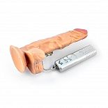 <strong>Телесный вибратор-реалистик с присоской BLASTER - 21,5 см.</strong> <br />
Реалистичный вибратор Lovetoy Endur Blaster с присоской. <div class="charTableblock"><div><span>Длина, см</span>: 21.5</div><div><span>Диаметр, см</span>: 4</div><div><span>Материал</span>: ПВХ (PVC)</div><div><span>Цвет</span>: телесный</div><div><span>Особенности</span>: на присоске; с мошонкой; с вибрацией</div><div><span>Длина, см</span>: 21-24</div><div><span>Диаметр, см</span>: 4</div><div><span>Производитель</span>: Lovetoy, Китай</div></div> Телесный вибратор-реалистик с присоской BLASTER - 21,5 см.
Реалистичный вибратор Lovetoy Endur Blaster с присоской.