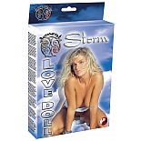 �������������� ��������� Storm 
����� �����  �����  - ��� ����������� ������� ��� ����� �������� �����������.