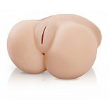 <strong>Вагина и анус Lil Fuck Her</strong> <br />
Чего вам хочется сегодня? Чтобы тяжелая попка вашей подружки дико скакала на вас сверху? А, может, вы хотите овладеть ею сзади анально? Выбор только за вами! Мастурбатор Lil Fuck Her снабжен двумя отверстиями для проникновения анальным и вагинальным. <div class="charTableblock"> </div> Вагина и анус Lil Fuck Her
Чего вам хочется сегодня? Чтобы тяжелая попка вашей подружки дико скакала на вас сверху? А, может, вы хотите овладеть ею сзади анально? Выбор только за вами! Мастурбатор Lil Fuck Her снабжен двумя отверстиями для проникновения анальным и вагинальным.