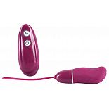 �������� ��������� Smile BERRY - 7 ��. 
����������� �������� ����-�������� �� ���������������.