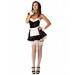   - Le Frivole , M/L,  
     !

 : , ,  , , .