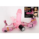 ������������ ��������� �� ���������� �������� 
������������ ���������� ��������� � ����������� ��������� �� ���������� ��������, � ������������ ������� � ����������, ������� 5 �������� ��������.