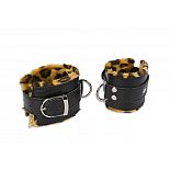 ������� � ����������� �������� 
�������� �������, ������� ����� ������ ���� � ����������, � ���������� ��� ���! ������� ���������� �� �������, �� ����� ��������� ������������� �����.