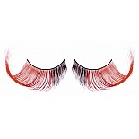  - 
          ,      , .