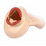 <strong>Ротик-мастурбатор CARRY</strong> <br />
PVC Пластик <div class="charTableblock"> </div> Ротик-мастурбатор CARRY
PVC Пластик