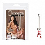 <strong>Зажим на половые губы Cleopatra Clit-Pearl Red 2621-11CDSE</strong> <br />
Интимное украшение для половых губ с украшением из красных бусинок. <div class="charTableblock"> </div> Зажим на половые губы Cleopatra Clit-Pearl Red 2621-11CDSE
Интимное украшение для половых губ с украшением из красных бусинок.