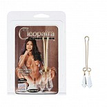 <strong>Зажим на половые губы с кристаллами Cleopatra Clit-Cristal Pur 2625-14CDSE</strong> <br />
Интимное украшение для половых губ с дополнением красивых камней из пластика. <div class="charTableblock"> </div> Зажим на половые губы с кристаллами Cleopatra Clit-Cristal Pur 2625-14CDSE
Интимное украшение для половых губ с дополнением красивых камней из пластика.