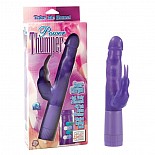 �������� ���-��� Power Thumper 0777-20CDSE 
����������������� ������������� � �������� �������� ������ � ������ ������������ ������������ � ����� �������.