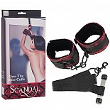 ������������ ����� ��� �������� � ����� SCANDAL SE-2712-35-3 
������ ������������ ����� ��� �������� � ����� �� �������-��������� ����������� ����������� Scandal.