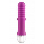 �������� LE REVE JOLIE STIMULATOR PURPLE 116812PD 
��������� �������� �����-����������� �����.