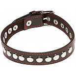 <strong>Проклёпанный ошейник X-Play Riveted Collar</strong> <br />
Черный кожаный ошейник с красной прошитой строчкой, украшен серебристыми клепками. Длина регулируется. <div class="charTableblock"><div><span>Материал</span>: кожзам</div><div><span>Производитель</span>: Allure Lingerie, Канада</div></div> Проклёпанный ошейник X-Play Riveted Collar
Черный кожаный ошейник с красной прошитой строчкой, украшен серебристыми клепками. Длина регулируется.