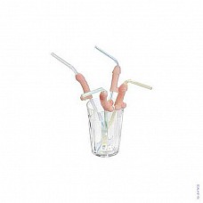 <strong>Эротические дудочки</strong> <br />
Веселый сувенир.<div class="charTableblock"> </div> Эротические дудочки
Веселый сувенир.