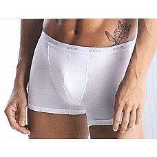 ������� ����������� ����� Primal 
������� �����.