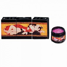 <strong>Бальзам-пролонгатор Shunga Sensations Balm Vanilla </strong> <br />
Сенсационный бальзам с запахом ванили.<div class="charTableblock"> </div> Бальзам-пролонгатор Shunga Sensations Balm Vanilla
Сенсационный бальзам с запахом ванили.