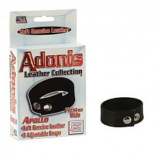 <strong>Adonis Leather Collection™ - Apollo™</strong> <br />
<div class="charTableblock"> </div> Adonis Leather Collection™ - Apollo™