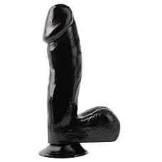   c  Basix - 17,5 . 
      .