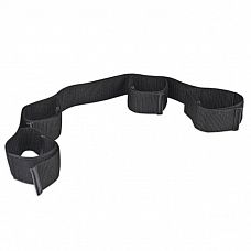     53006ars 
  ,      .