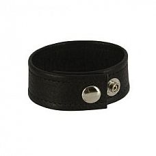  Apollo Adonis Leather Collection 
    ,  ,     .