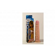 ������������� �� �������� �����-���� 810903ru 
������������� �� �������� ���������� �� ������������������ ����������, ����������� ������������� �����.