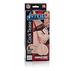   Vivid Raw Cock Tease    
  Vivid Raw Cock Tease   -  .