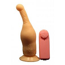 <strong>Телесный плаг-массажер простаты с пультом - 17,5 см.</strong> <br />
Изящный вибромассажер-плаг подарит незабываемые моменты анального удовольствия.<div class="charTableblock"><div><span>Длина, см</span>: 17.5</div><div><span>Диаметр, см</span>: 5</div><div><span>Материал</span>: ПВХ (PVC)</div><div><span>Цвет</span>: телесный</div><div><span>Особенности</span>: массажер простаты</div><div><span>Особенности</span>: с вибрацией</div><div><span>Длина, см</span>: 17-20</div><div><span>Диаметр, см</span>: 5</div><div><span>Производитель</span>: Биоклон, Россия</div></div> Телесный плаг-массажер простаты с пультом - 17,5 см.
Изящный вибромассажер-плаг подарит незабываемые моменты анального удовольствия.