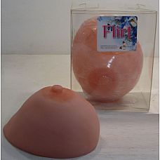 ������� ������ �������� ������  
������������ ��������, ����������� ����,����� ���� ���������������.