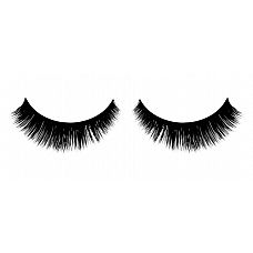 ������ ��������� ������� Premium 
�����, ���������� ������ ������ ������� ������ ������ � ����� �������� ���������� ���������� �� �����.