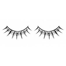 ׸���� ������� ������ ����� � ����������� �������� 
��������������� ������ ������� ������ ������ � ��������� � �������� ���������� � ������ �����������.