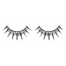 ׸���� ������� � ����������� �������� 
������������� ������ ������� ������ ������ � ��������� � �������� ���������� � ������ �����������.