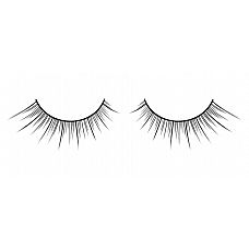 ׸���� ��������� ������� � ����������� ����������� ����� �������� Deluxe 
������ ������������� ������ ������� ������ ������.