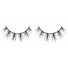 ������ ��������� �������-������ Premium 
�������������� ������ ������� ������ ������ � ������������������ ���������� ����������.